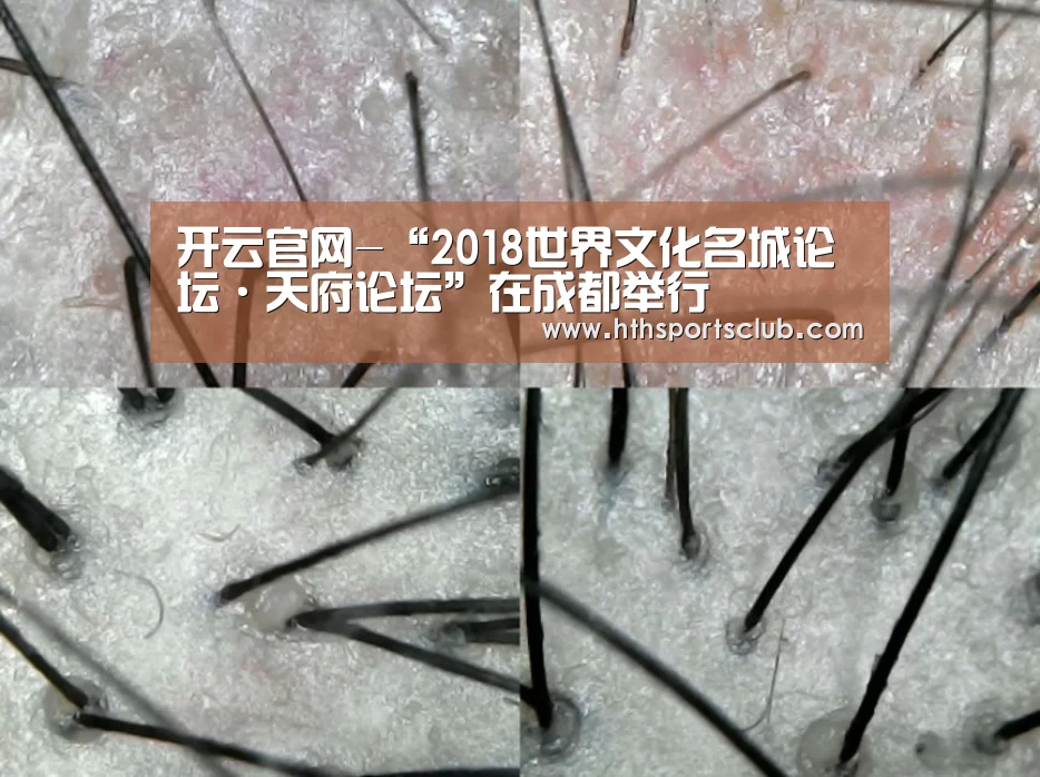 开云官网-“2018世界文化名城论坛·天府论坛”在成都举行